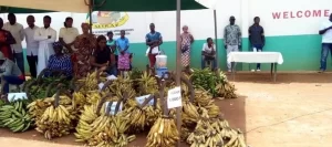 produits,plantain,viande